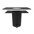 Gutter Installer (Black)